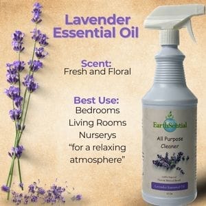 Lavender the multi-surface marvel