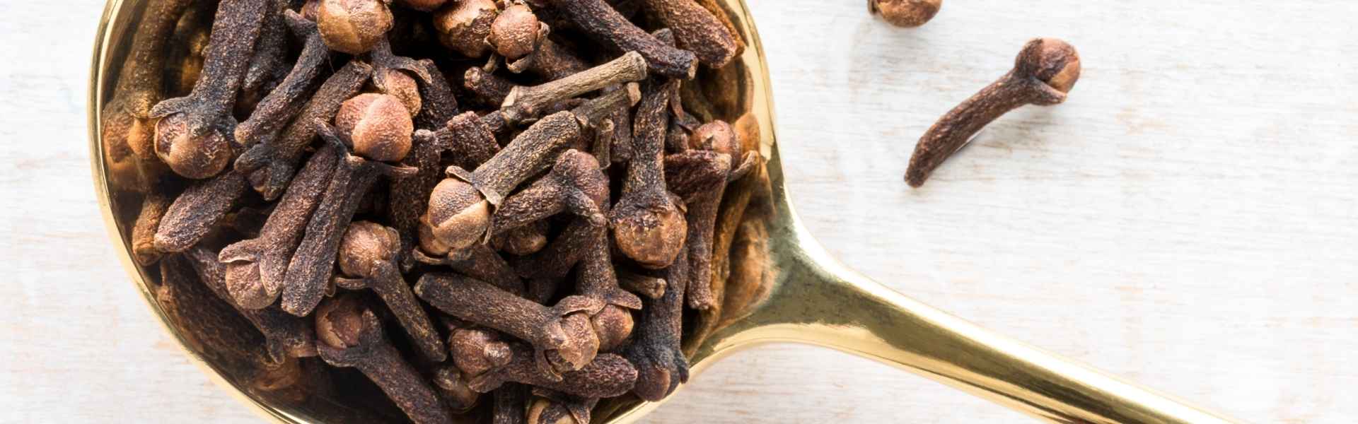 all natural clove oil products, clove buds