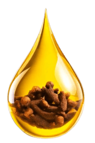 clove oil