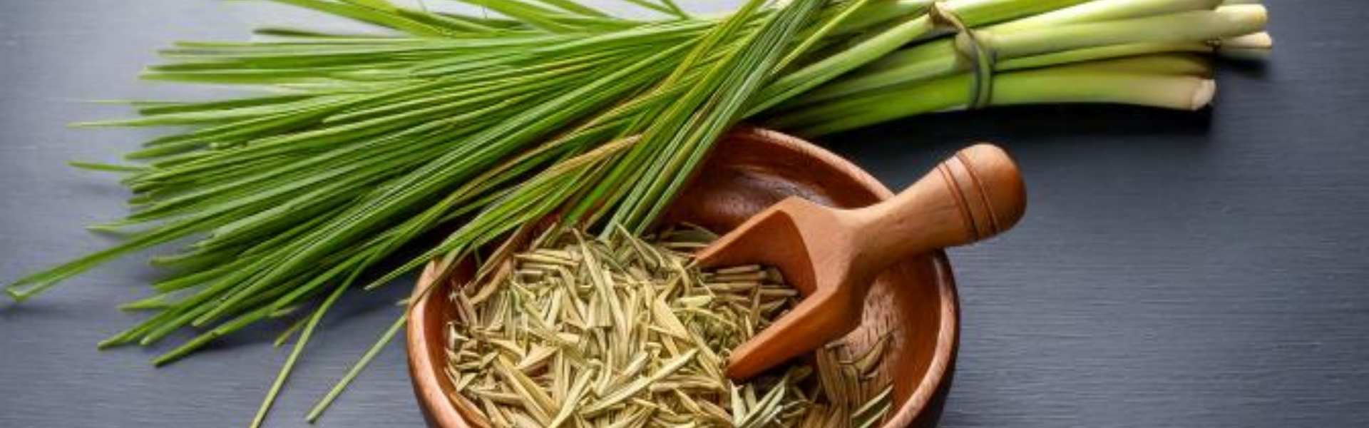 earthsential lemongrass oil products bowl