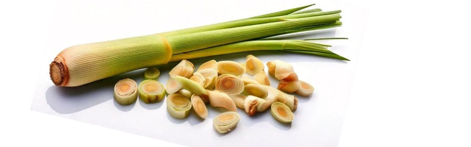 lemongrass oil stem