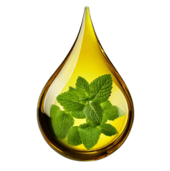 all natural peppermint oil products