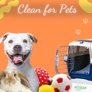 products that clean for pets
