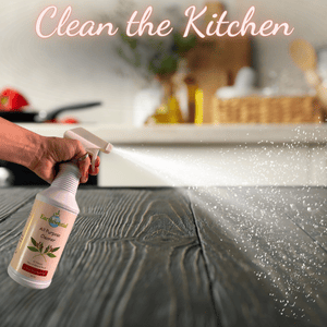 products that clean kitchen