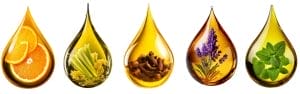 Pick your favorite essential oil 3 find your scent in essentialoil cleaner