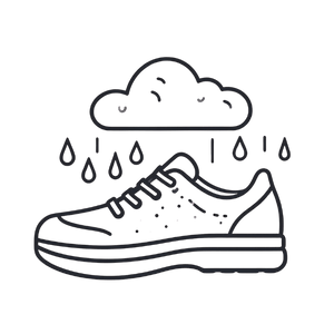 shoe refresher, wet shoes