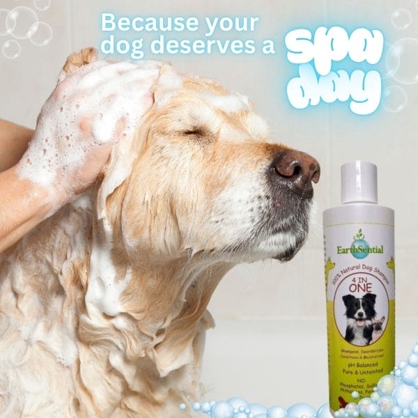 earthsential 4 in one dog shampoo