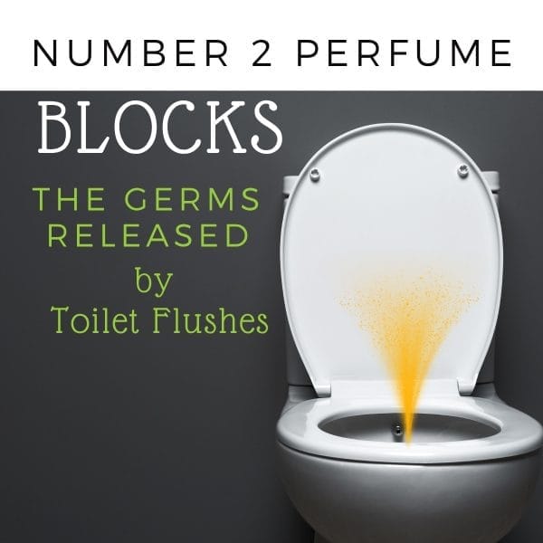 Number 2 perfume toilet spray
