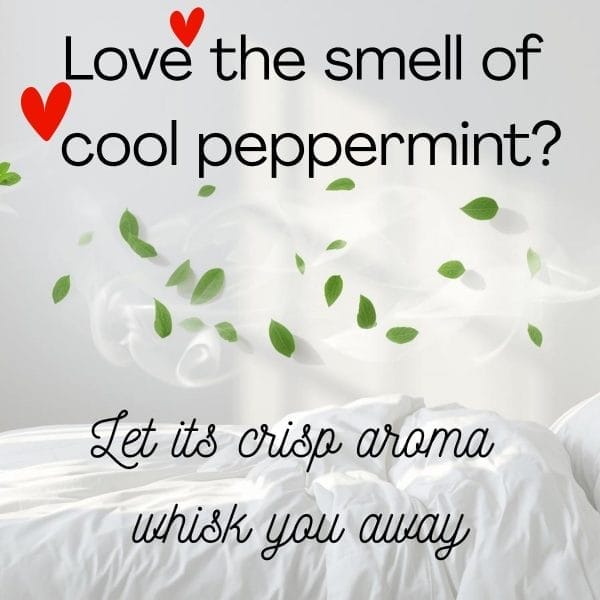 peppermint room spray