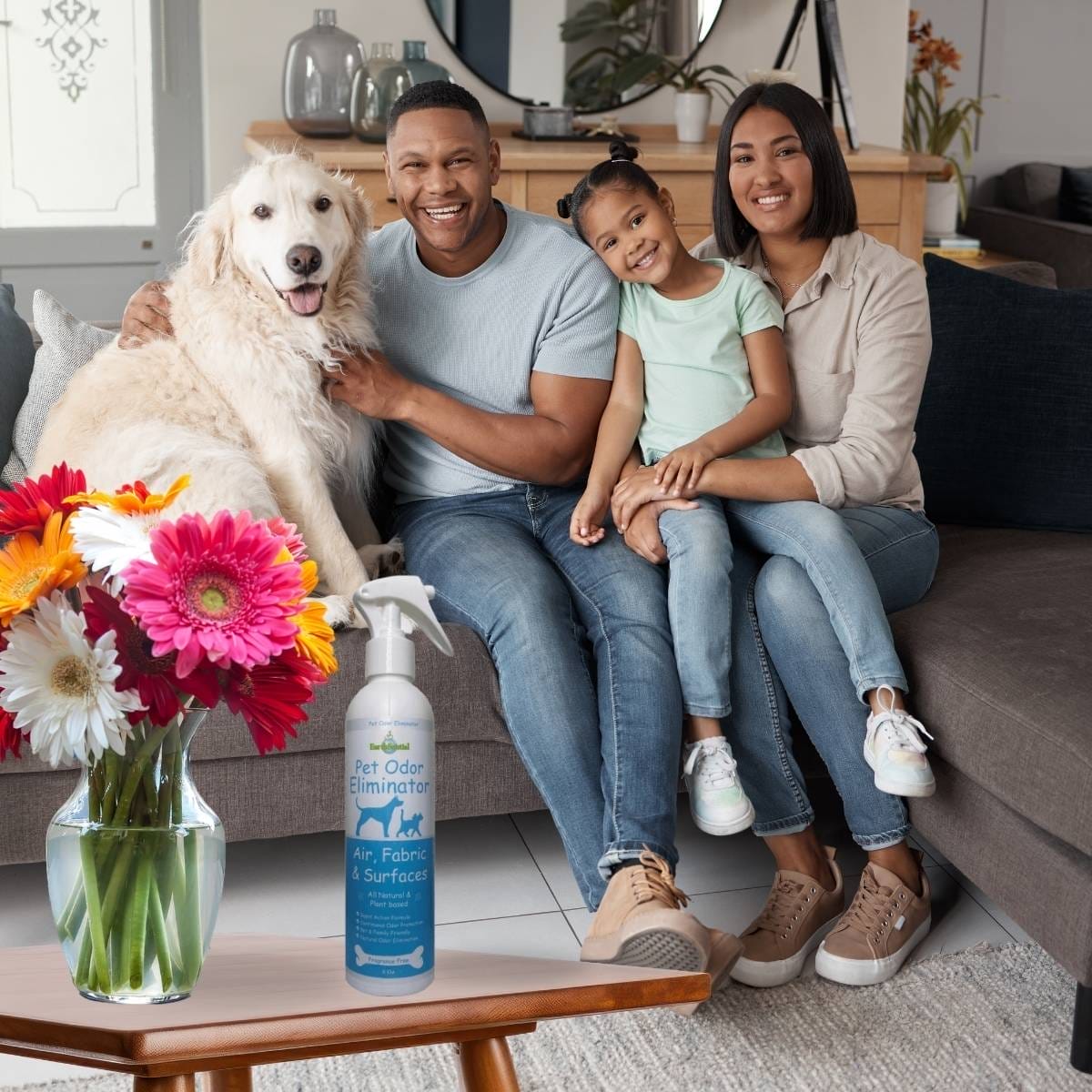 Pet Odor Eliminator Spray 6 pet odor eliminator spray