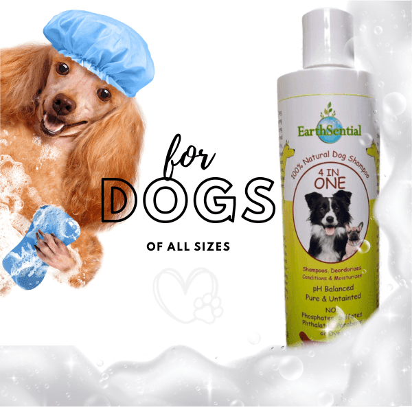 4 in one dog shampoo