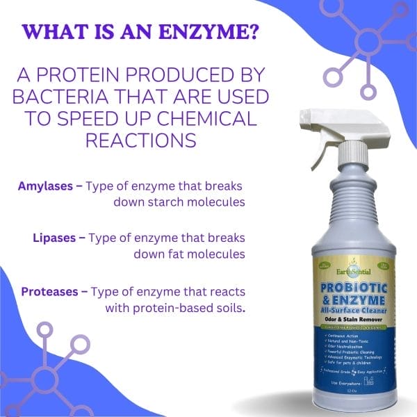 probiotic and enzyme all surface cleaner