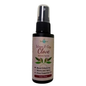 warm and cozy clove room spray