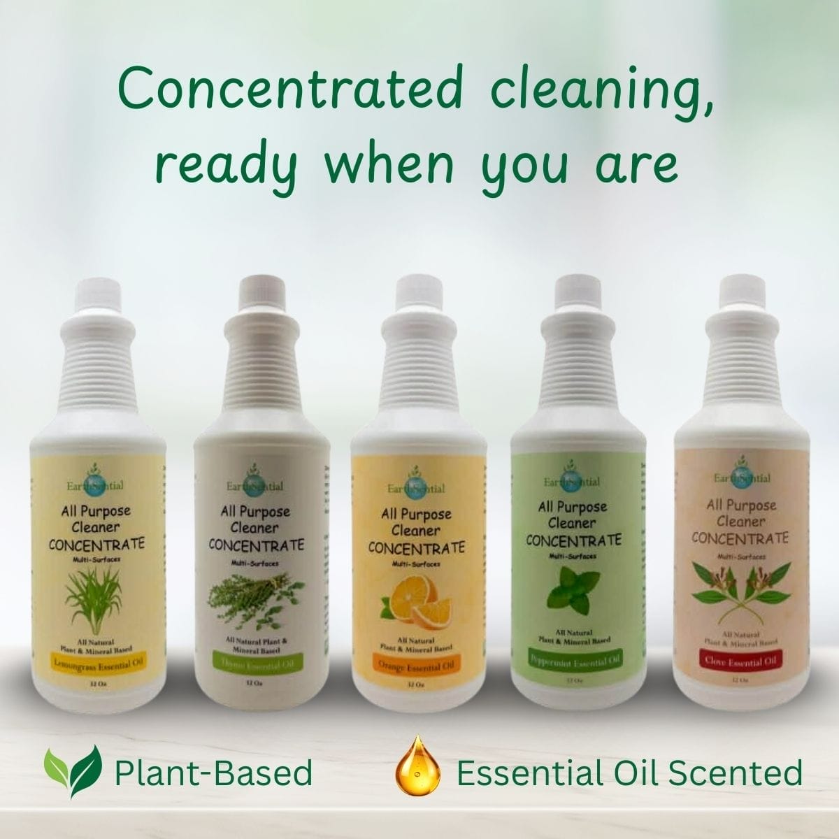 EarthSential Plant-Based All-Purpose Cleaner Concentrate 7 EarthSential Plant-Based All-Purpose Cleaner Concentrate